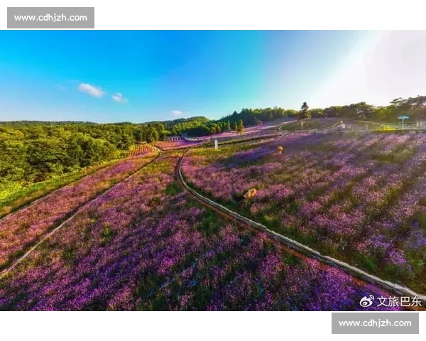 影像记忆：野马赛道 19.5 公里，定格花海前的骑行瞬间